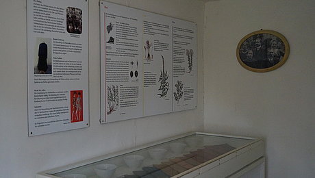 Ausstellungsvitrine mit gefärbten Stoffen und Texttafeln