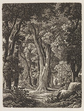 Reiter auf einem Waldweg
