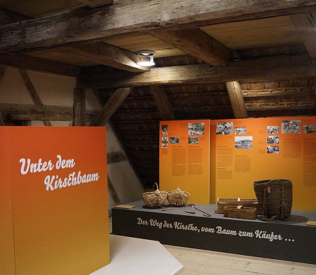 Texttafeln und verschiedenartige Körbe auf Ausstellungselement
