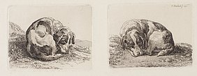 Ein schlafender Jagdhund ist links seitlich und rechts frontal abgebildet.
