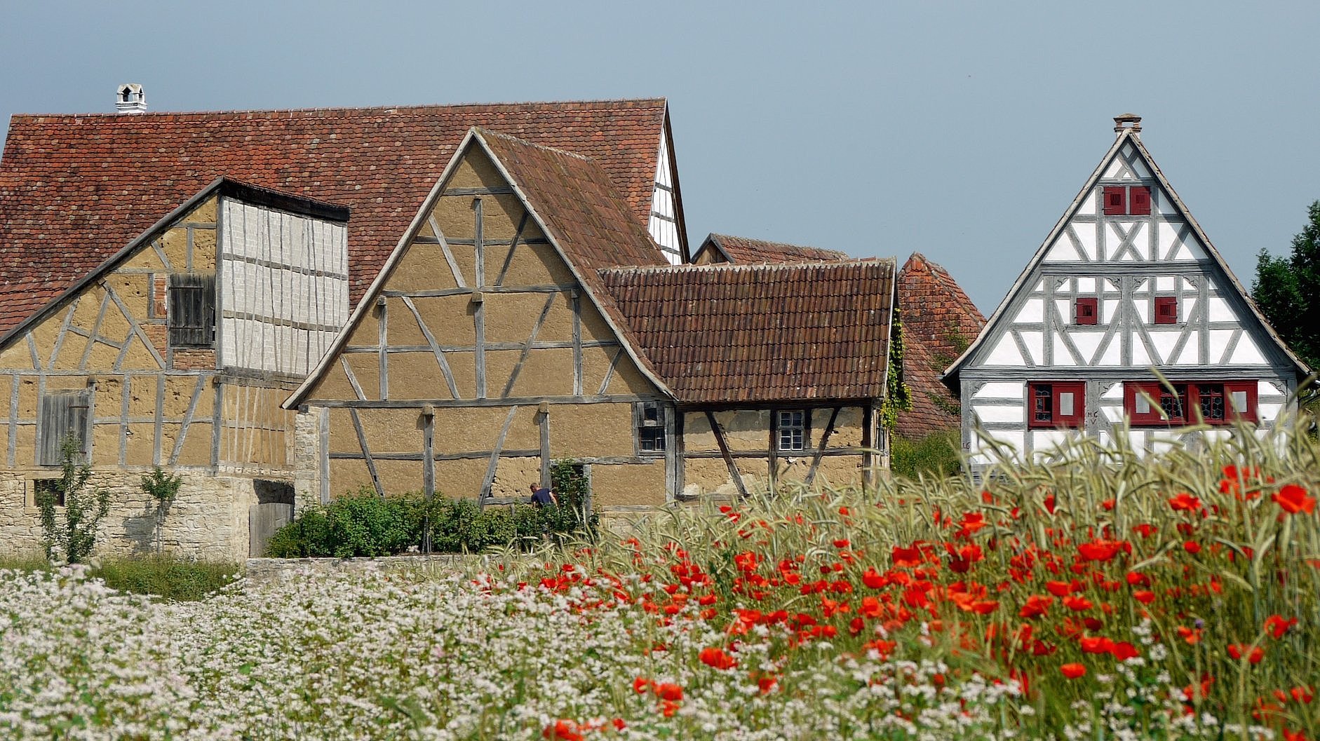 Panorama Foto mir einigen Fachwerkhäusern, davor ein Kornfeld mit Mohnblumen