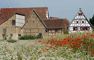 FFM_Scheune_Retzbach Panorama Foto mir einigen Fachwerkhäusern, davor ein Kornfeld mit Mohnblumen