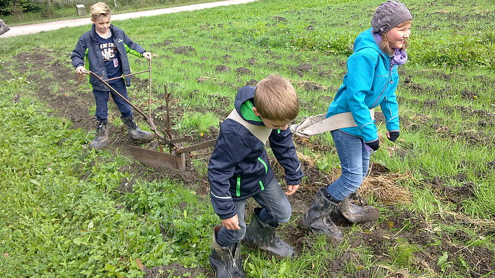 FFM_Kinder_beim_Pflügen Fotoaufnahme dreier Kinder beim Pflügen eines Feldes. Hinter dem alten Pflug steht ein Junge. Davor wurden mit Gurten ein weiterer Junge und ein Mädchen gespannt, die den Pflug durch die Erde ziehen. Im Hintergrund sind ein Weg und einige Bäume erkennbar.
