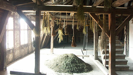 FFM_Kraeuter-Apotheke_Kraeuterboden Fotoaufnahme des Kräuterbodens, der zur Dauerausstellung „Fränkische Kräuterapotheke“ gehört. In der Mitte des Raums auf dem Boden befindet sich ein großer Haufen mit Kräutern. Darüber hängen weitere Bündel an einem Balken des Dachstuhls.