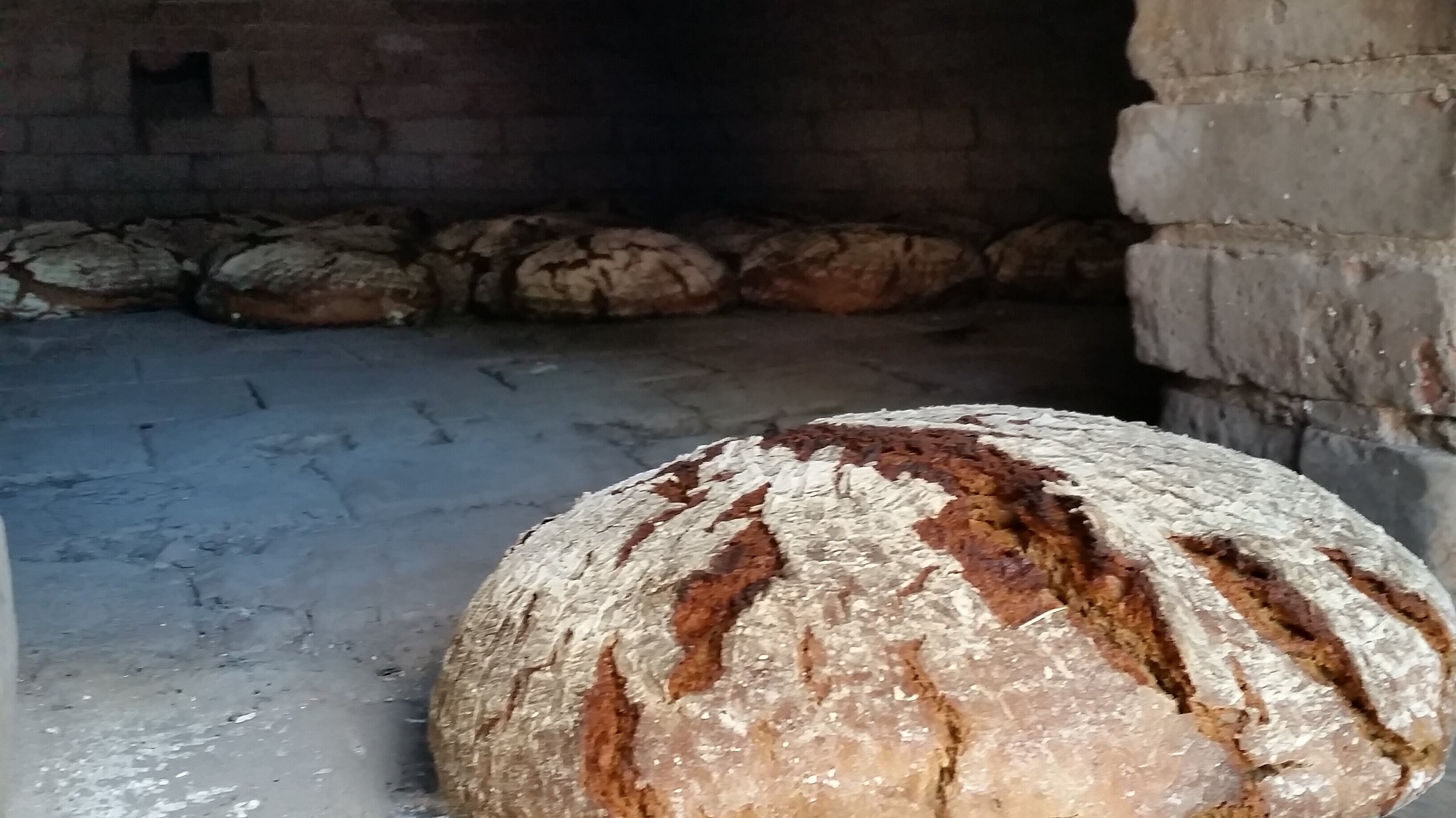 Fotoaufnahme von frischem Brot aus dem Holzbackofen. Am äußeren Rand der gemauerten Backröhre liegt ein runder, gebackener Brotlaib. Die Rinde ist zum Teil aufgeplatzt und mit Mehl bedeckt. Im hinteren Teil des Ofens liegen weitere Brote. 
