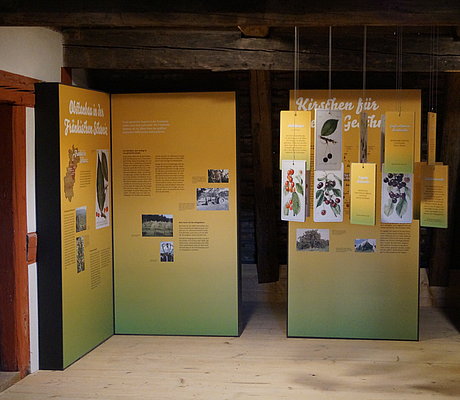 Mehrer Foto-und Texttafeln und Videostation