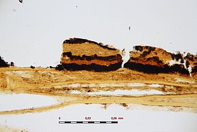 Das Bild kommt aus dem Mikroskop. Es zeigt einen Holzsplitter.
