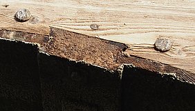 Das Foto zeigt ein Radkranzdetail des alten Rades: Die Zapfen der Schaufeln und die Holznägel sitzen in der Felge.