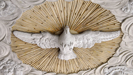 FFM_Gottesbilder Fotoaufnahme der Decke der Spitalkirche in Bad Windsheim. In die Decke ist eine Taube mit ausgebreiteten Flügeln gemeißelt. Sie steht im Fokus einer strahlenden Sonne bzw. eines Heiligenscheins. An den Rändern wurden Wolken mit Engeln dargestellt.