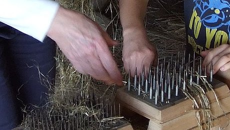 FFM_Flachsbrechen_Internet Fotoaufnahme der Führung „Vom Flachs zum Leinen“. Die Hechel steht auf dem Boden, ein Junge und ein Erwachsener ziehen den Flachs hindurch. Auf dem Boden dahinter liegen weitere Flachsfasern.