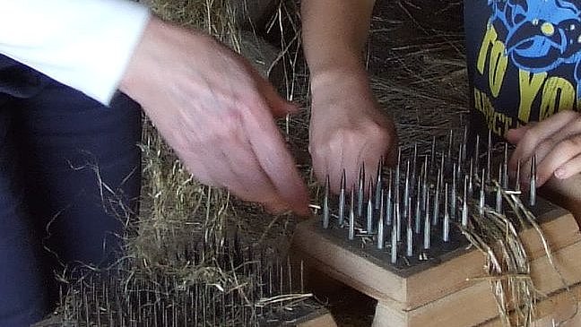 Fotoaufnahme der Führung „Vom Flachs zum Leinen“.  Die Hechel steht auf dem Boden, ein Junge und ein Erwachsener ziehen den Flachs hindurch. Auf dem Boden dahinter liegen weitere Flachsfasern. 