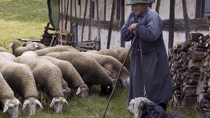Fotoaufnahme des Schäfers vor der Schäferei aus Hambühl. Der Schäfer in Hut und Kittel stützt sich auf seinen Stock. Links neben ihm grast eine Herde Schafe, rechts liegt ein Hund im Gras. Dahinter steht das Fachwerk. 