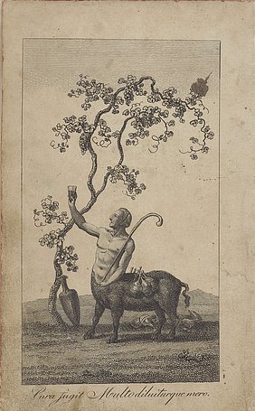 Verfremdeter Bischof (Bischofsstab in der linken Hand) als Fabeltier halb Mensch, halb Schwein. Weinglas in der erhobenen rechten Hand und Flaschen auf den Rücken gebunden. Mehrere leere Flaschen liegen schon auf dem Boden.