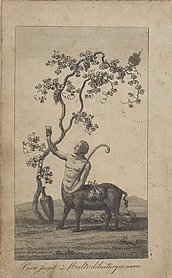 Verfremdeter Bischof (Bischofsstab in der linken Hand) als Fabeltier halb Mensch, halb Schwein. Weinglas in der erhobenen rechten Hand und Flaschen auf den Rücken gebunden. Mehrere leere Flaschen liegen schon auf dem Boden.
