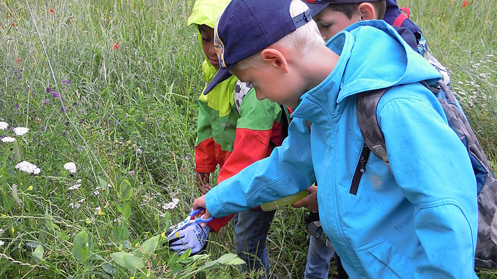 einige Kinder in Mitten einer blühenden Wiese. Sie sammeln Proben, die sie später untersuchen werden.